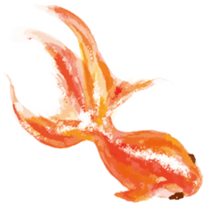 金魚